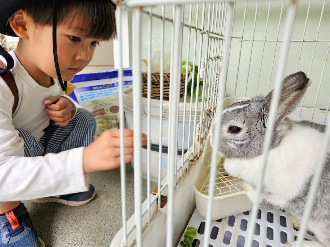 交わりの生活
