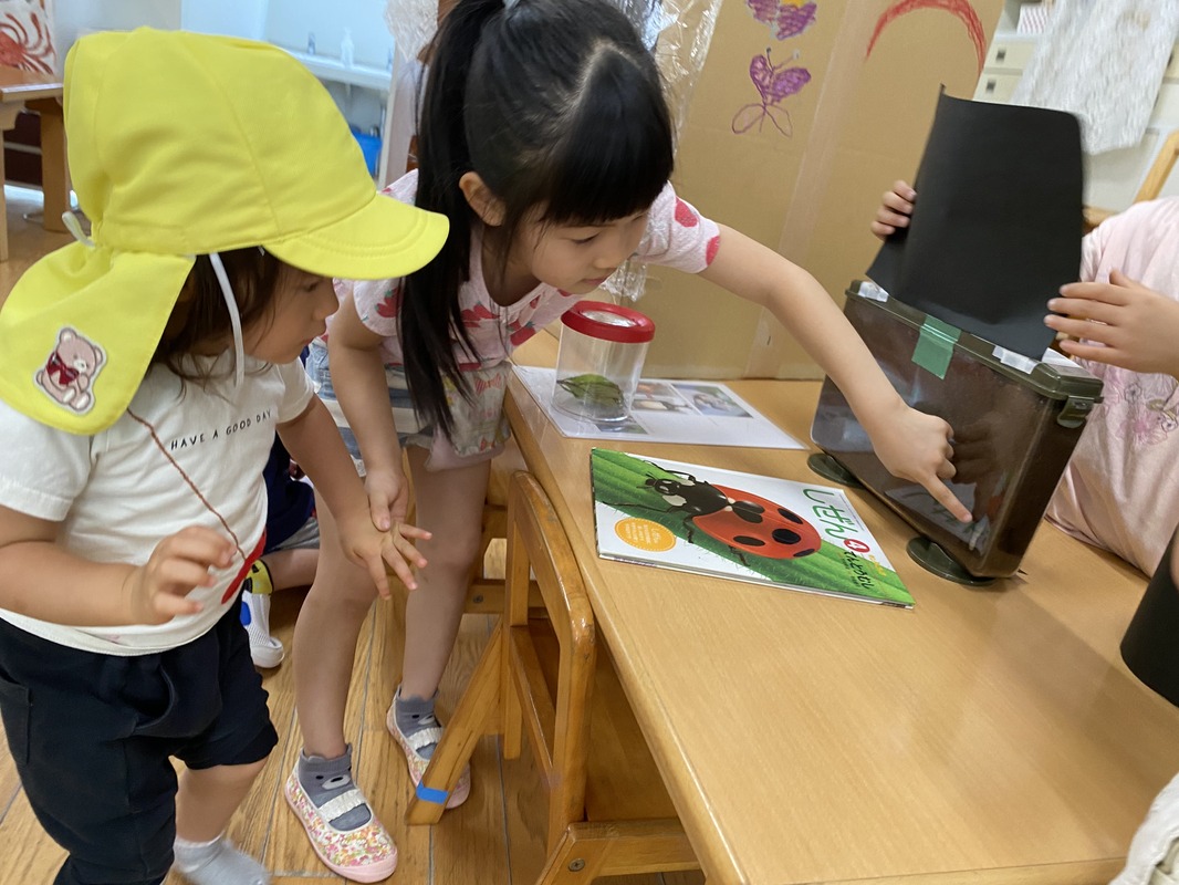 交わりの生活